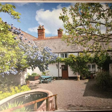 Steps Farmhouse B&B Minehead Exterior foto