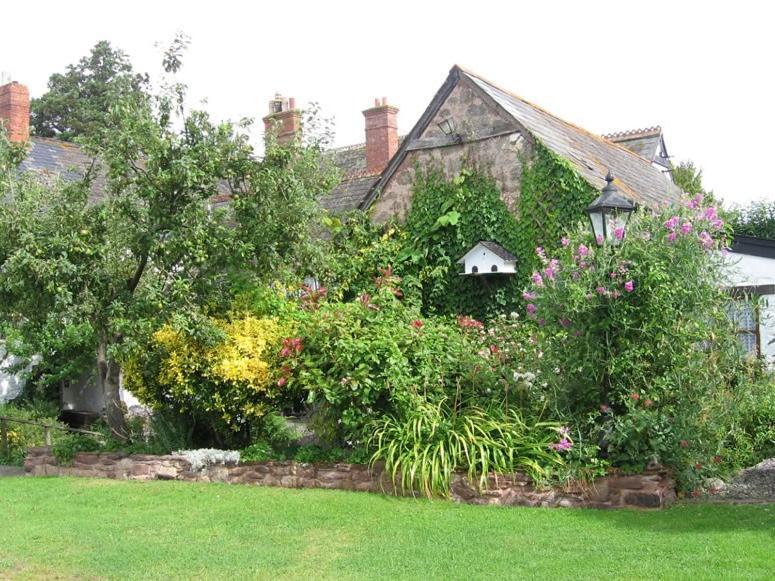 Steps Farmhouse B&B Minehead Exterior foto