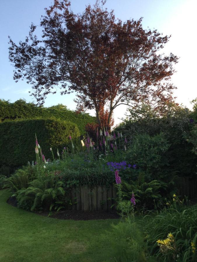 Steps Farmhouse B&B Minehead Exterior foto