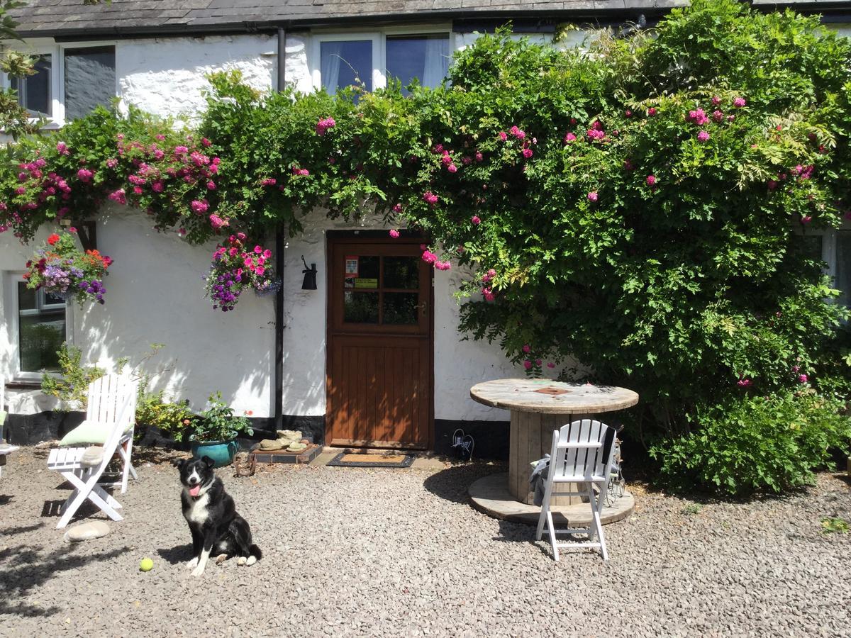 Steps Farmhouse B&B Minehead Exterior foto